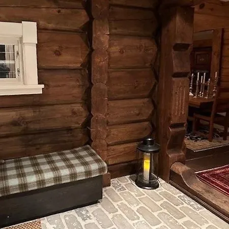 Feriehus Luxury With Hot Tub & Cold Plunge In Trysil