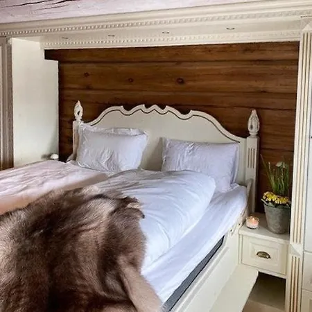 Feriehus Luxury With Hot Tub & Cold Plunge In Trysil